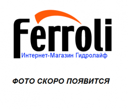 Ferroli Комплект основной (для первого котла в каскаде)