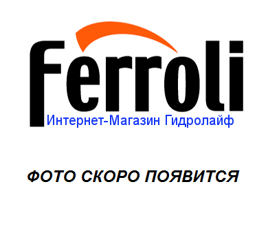 Котел Ferroli Купить В Нижнем Новгороде