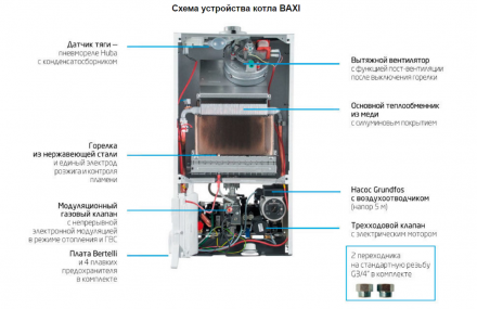 Baxi Котел газовый настенный двухконтурный Eco Four 24F