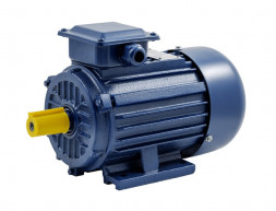 Unipump Электродвигатель АИP 250S2 IM1081 (75 кВт/3000 об/мин)