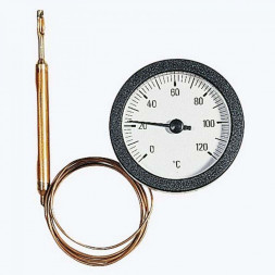 Watts Термометр дистанционный до 120°C, 10бар
